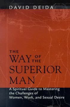 The Way of the Superior Man Book by David Deida